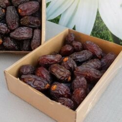 Medjool (Kraljevske) datule