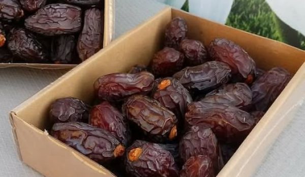 169071122_3951694071587031_4549535117852683661_n (1)